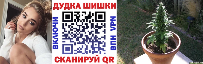 Бошки марихуана ГИДРОПОН  Кодинск 